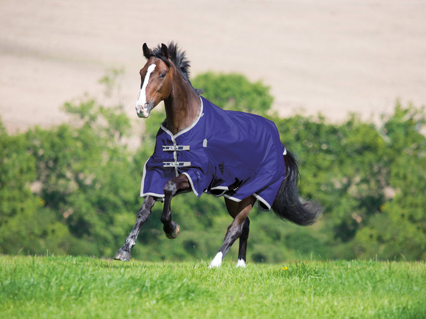 Highlander Plus 200g Standard Neck Turnout Blanket Black / 72"