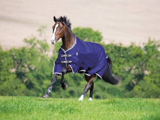 Highlander Plus 200g Standard Neck Turnout Blanket Black / 72"