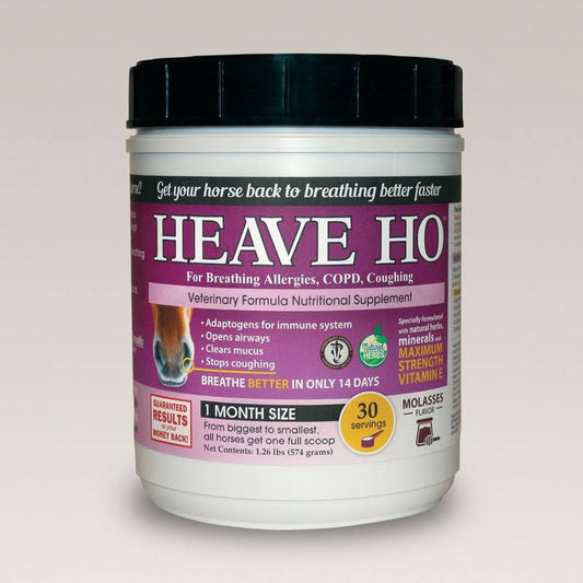 Ho Supplement 30 Servings Sugar-Free Apple