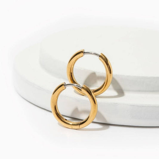Hoop Earrings