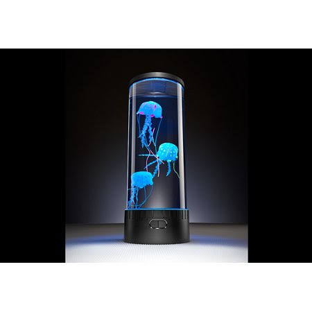 Image Jellyfish Aquarium