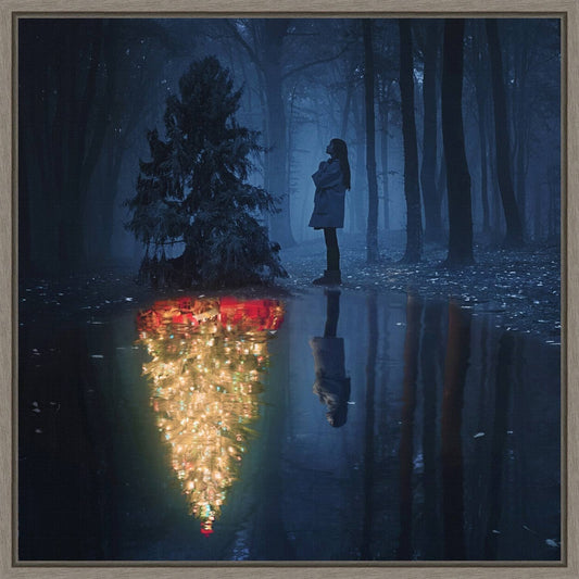 Hope Of Christmas By Terry F Framed Canvas Art - Grey - Plastic