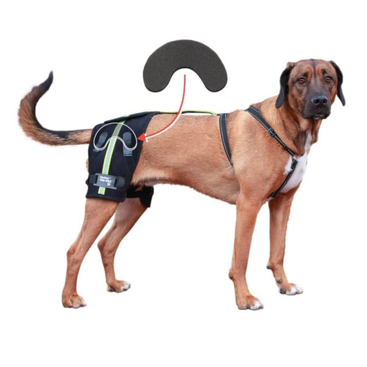 Hip-Eez Support System With Bridge Attachment Xlarge