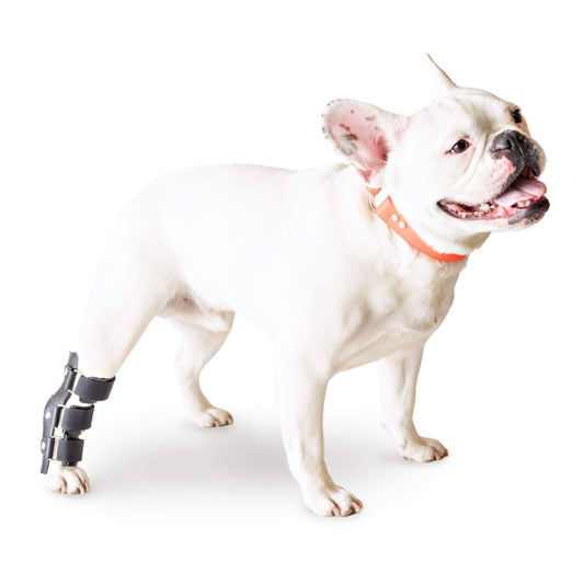 Hock Style Rear Leg Dog Splint, X-Small