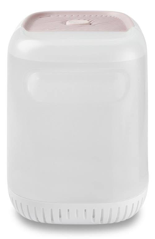 Humidifier Starter Set In Cream