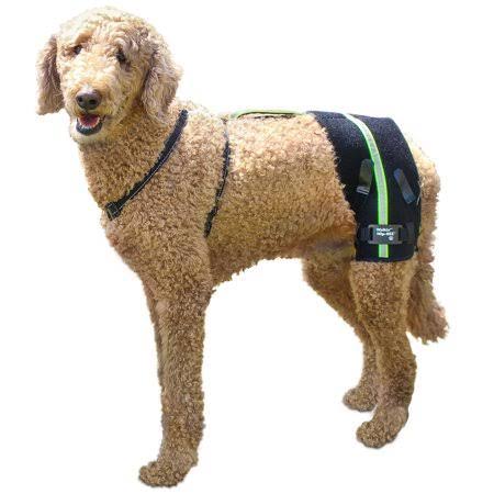 Hip-Eez Dog Hip Brace Support Harness System | Provides Joint Support For Dogs With Hip Dysplasia And Other Conditions Affecting The Hip Joint