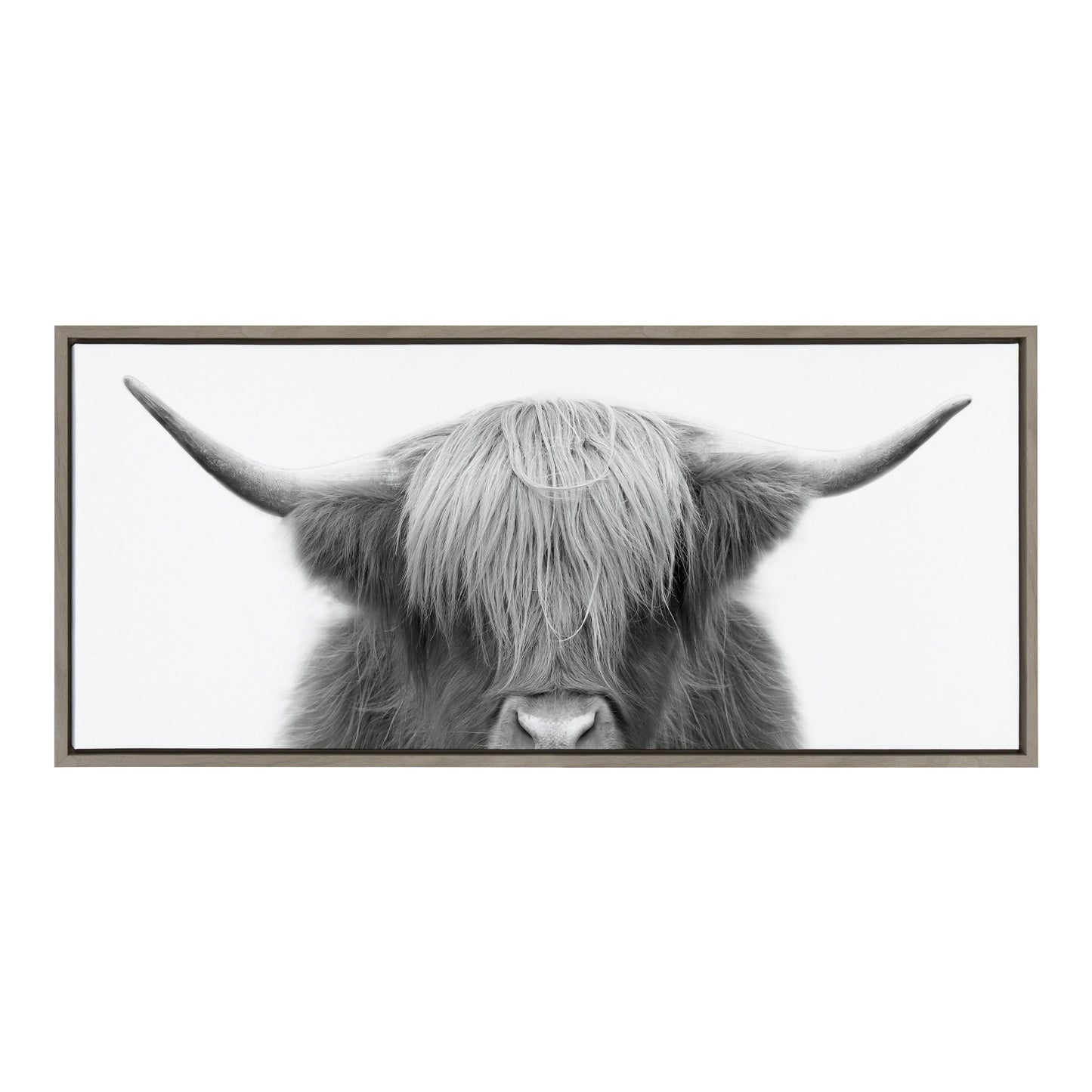 Hey Dude Highland Cow 40 In X 18 In Framed Photography Canvas Art Print, By Kate And Laurel