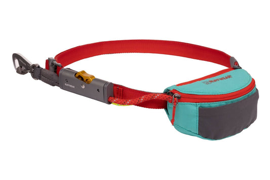 Hitch Hiker Leash Aurora Teal