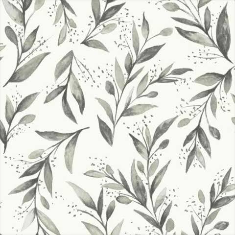 Home Olive Branch Wallpaper - Charcoal