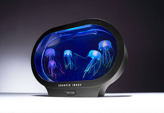 Image Fantasy Jellyfish Aquarium